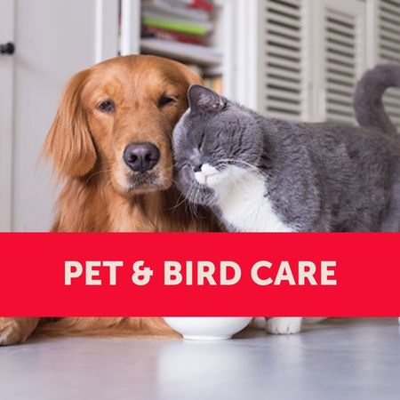 Pet and Bird Care
