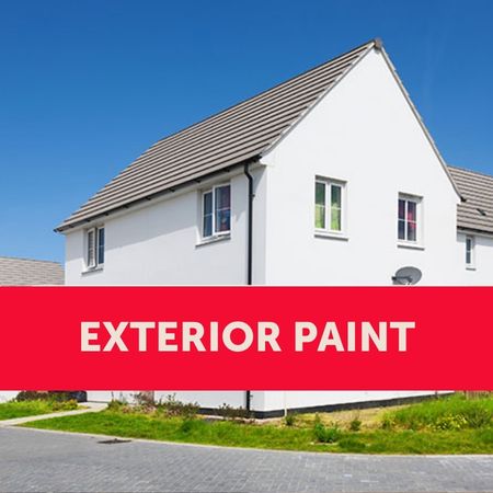 Exterior Masonry paint from Stakelums Home & Hardware paint counter