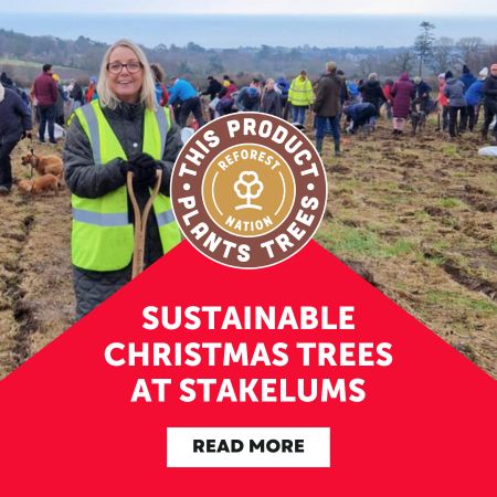 Sustainable Christmas Trees at Stakelums