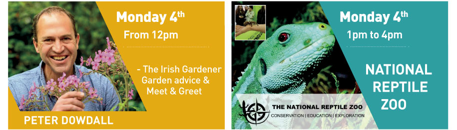 Mark Doe Demos Sunday Ninja & Monday Weber