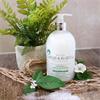 Baylis & Harding Jasmine &Apple Blossom Hand Wash