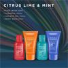 Baylis & Harding Citrus Travel Set