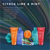 Baylis & Harding Citrus Shower and Prep Set