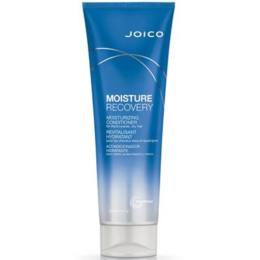 Joico Moisture Recovery Conditioner