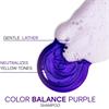 Joico Color Balance Purple Shampoo 300ml
