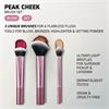 Real Techniques Peak Cheek Brush Set