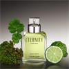 Calvin Klein Eternity EDT 100ML