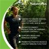 Natures Plus Biotin 10000ug 90 Tablets