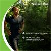 Natures Plus Ultra Omega 369 90 Softgels