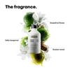 LOreal Professional Metal Detox Shampoo