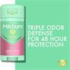 Mitchum Deodorant Powder Fresh Stick 41g