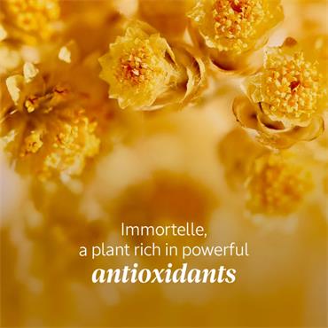 Loccitane Immortelle Proactive Youth Cream 50ml