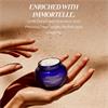 Loccitane Immortelle Proactive Youth Cream 50ml