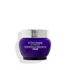 Loccitane Immortelle Proactive Youth Cream 50ml
