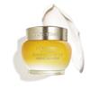 Loccitane Immortelle Divine Youth Cream 50ML