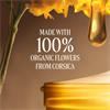 Loccitane Immortelle Divine Youth Cream 50ML