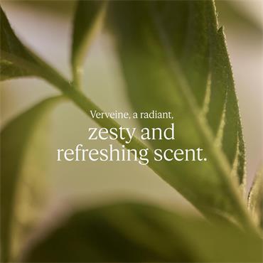 Loccitane Verveine EDT 100ml