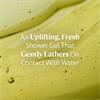 Loccitane Verveine Body Lotion 250ml