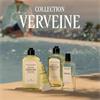 Loccitane Shower Gel Verbeine 500ml