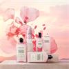 Loccitane Fleurs de Cerisier EDT 50ML