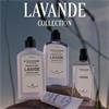 LOccitane Lavande Body Lotion 250ml