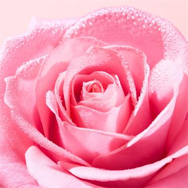 Nuxe Very Rose Soothing Cleansing Water