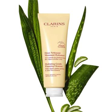 Clarins Hydrating Gentle Foam Cleanser
