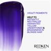 Redken Color Extend Blonde Mask