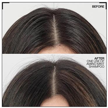 Redken Amino Mint Shampoo 300ml