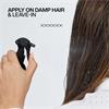 Redken Acidic Color Gloss Heat Protection Treatmen