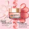 LOreal Age Perfect Rosy Radiance Day Cream Spf20