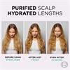 LOreal Elvive Hydra Pure Shampoo 400ml