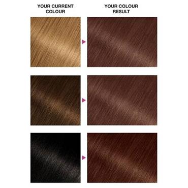 Garnier Olia Hair Colour