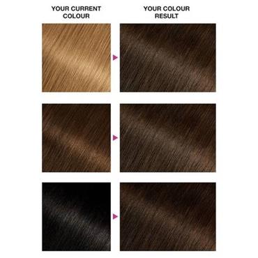 Garnier Olia Hair Colour