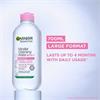 GARNIER MICELLAR WATER 700ML
