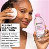 Garnier Micellar Water 100ml