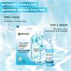 Garnier Hyaluron Barrier Repair Serum Mask