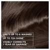 Garnier Tinted Hair Mask Expensive Brunette