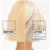 Garnier Olia Tinted Hairmask Scandi Blonde