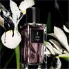Ysl Muse Inspiring Ink 35ml EDP