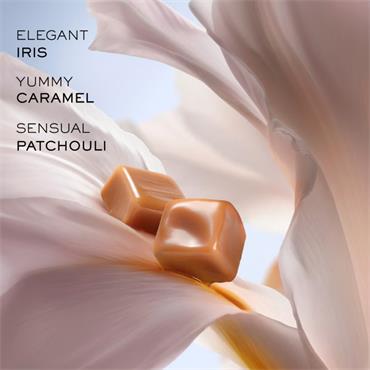 Lancome La Vie Est Belle Body Mist 100ml