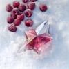 Mugler Angel Nova 50ml Eau de Parfum Giftset
