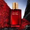 DavidOff Cool Elixir Parfum Intense 50ml