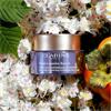 Clarins Nutri Lumiere Revive
