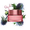 Clarins Multi Active Night Dry Skin