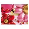 Clarins Christmas Extra Firming Giftset