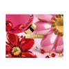 Clarins Christmas Double Serum 75ml Giftset