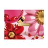 Clarins Christmas Hydra Essential Giftset