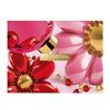 Clarins Christmas Moisture Rich Giftset