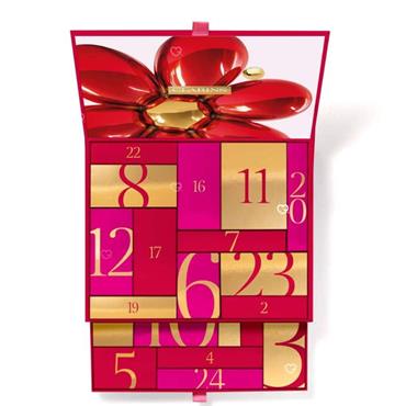 Clarins Christmas 24 Day  Advent Calendar